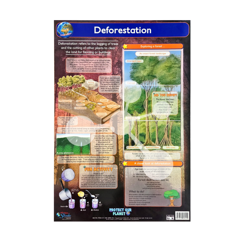 Deforestation Junior Wall Chart