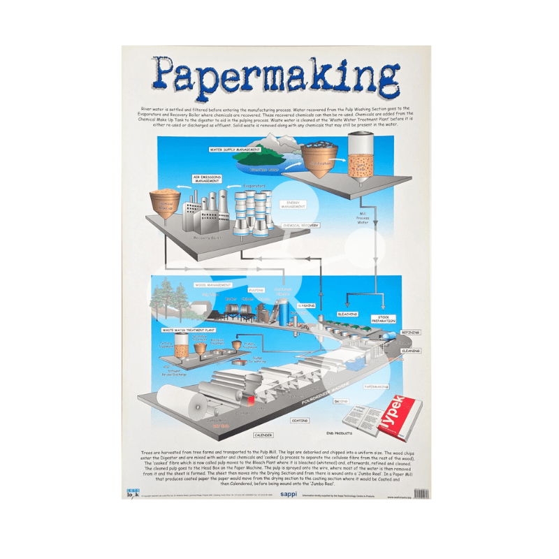 Papermaking Wall Chart
