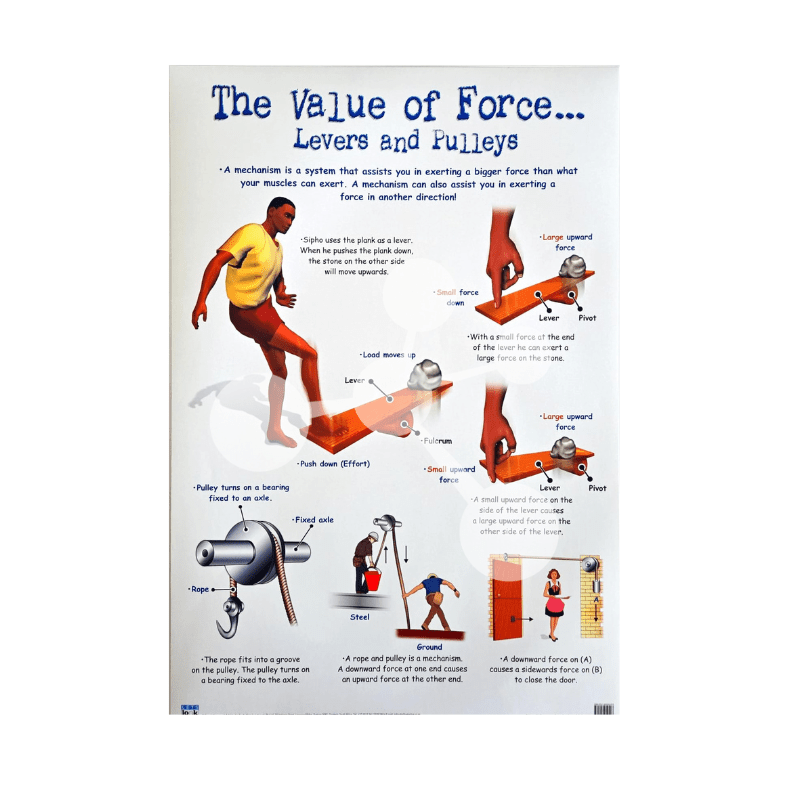 The Value of Force Levers and Pulleys Wall Chart