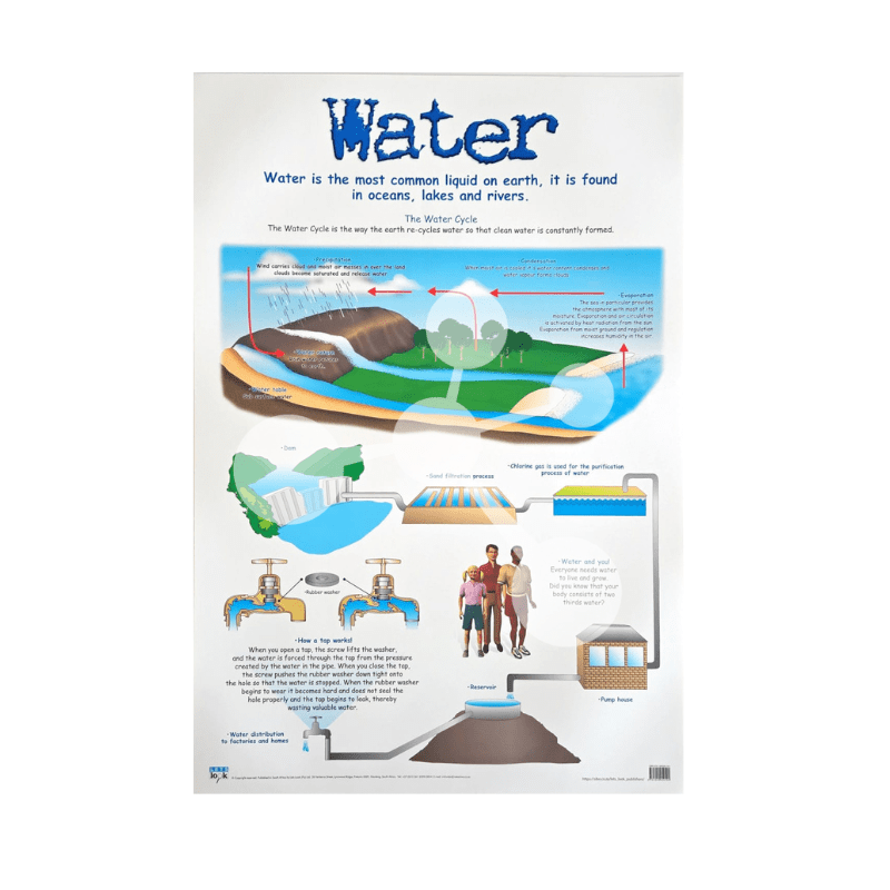 Water Wall Chart