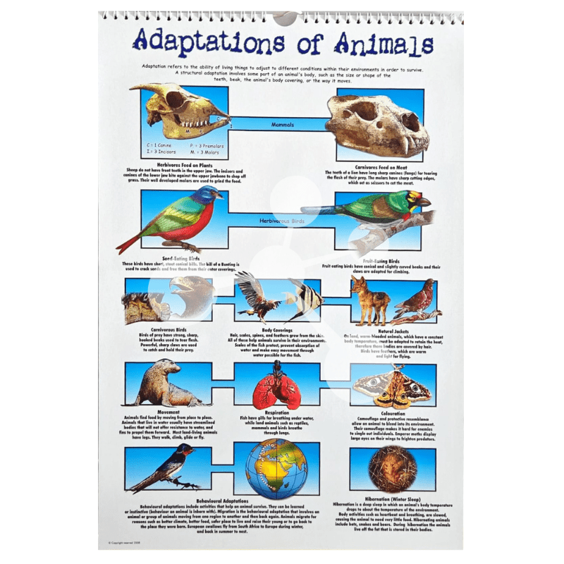 Natural Sciences Flip Chart