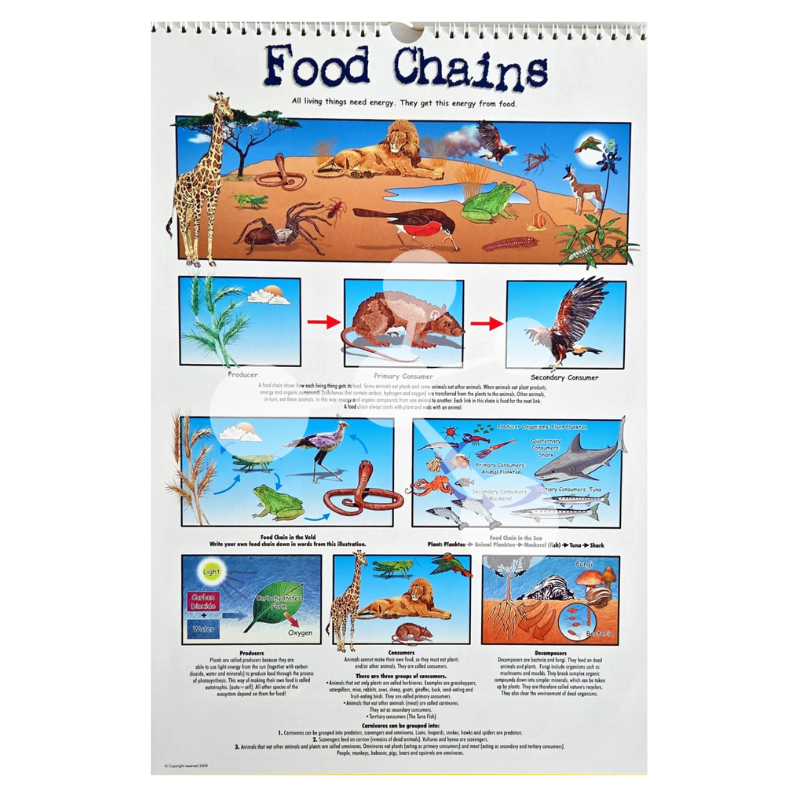 Natural Sciences Flip Chart