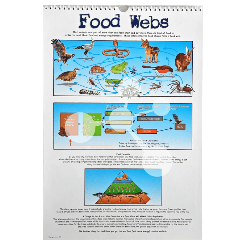 Natural Sciences Flip Chart
