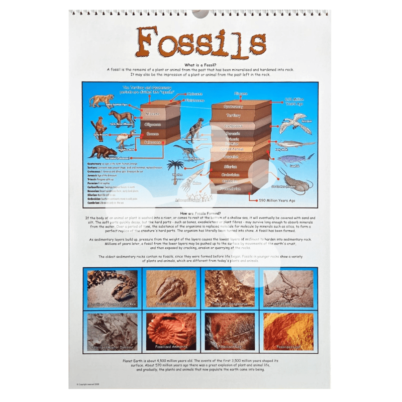 Natural Sciences Flip Chart