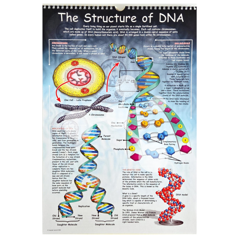 Natural Sciences Flip Chart