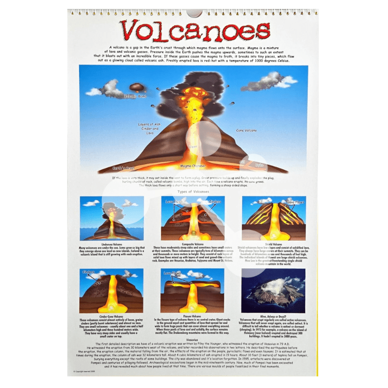 Natural Sciences Flip Chart