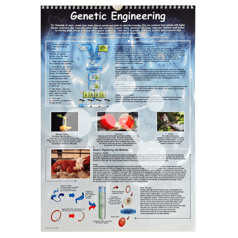 Natural Sciences Flip Chart