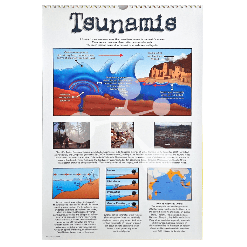 Natural Sciences Flip Chart
