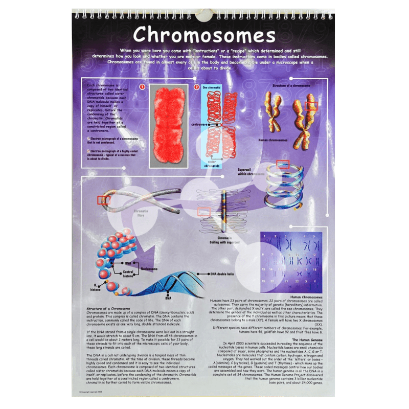 Natural Sciences Flip Chart