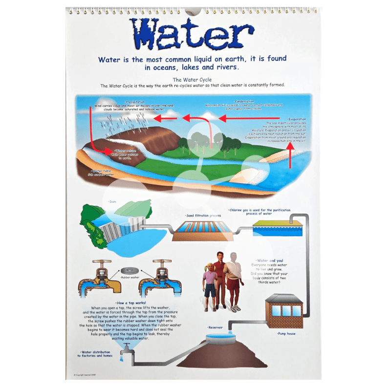 Natural Sciences Flip Chart