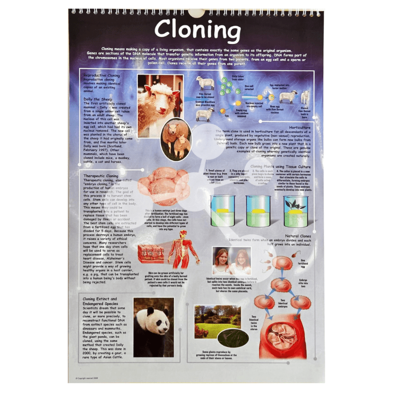 Natural Sciences Flip Chart