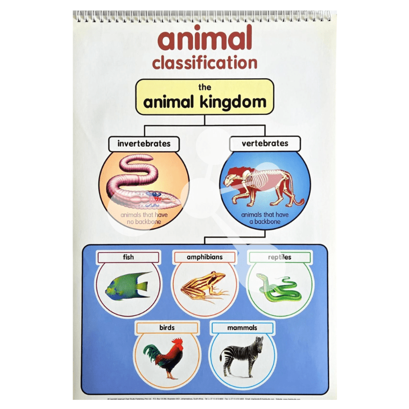 Animal Kingdom Flip Chart