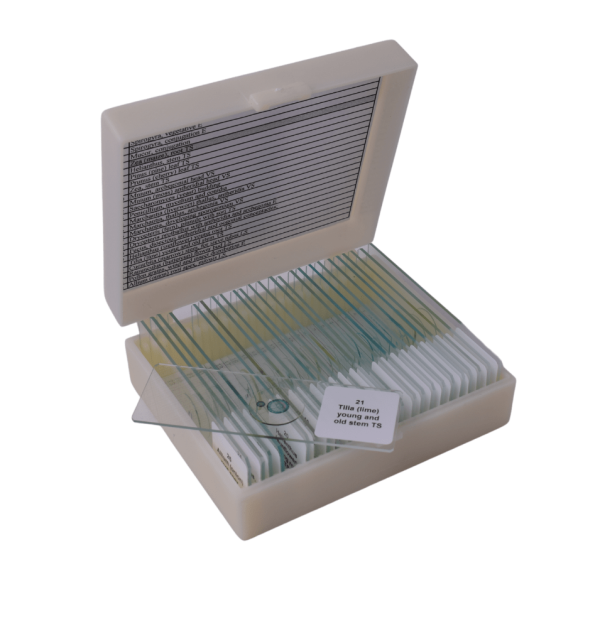 Basic Botany slide set of 25