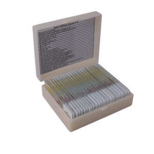 Basic Histology slide set of 25