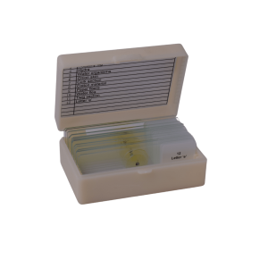 Beginners Microscope Slide set of 12