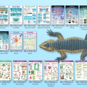 Chromosomes - Wall Chart