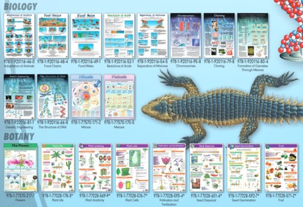Genetic Engineering - Wall Chart