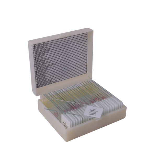 Human Histology slide set of 25