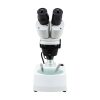 Microscope, Stereo Binocular 20-40x