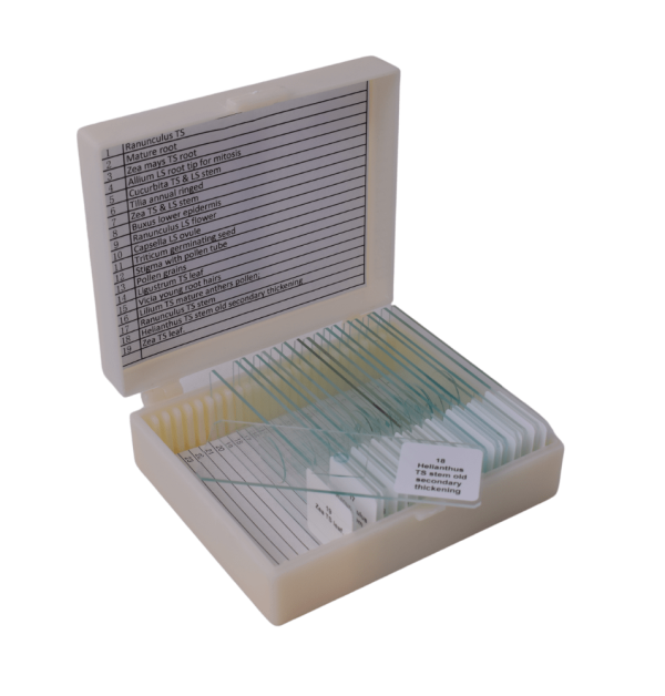 Plant Structure Microscope Prepared Slide Set